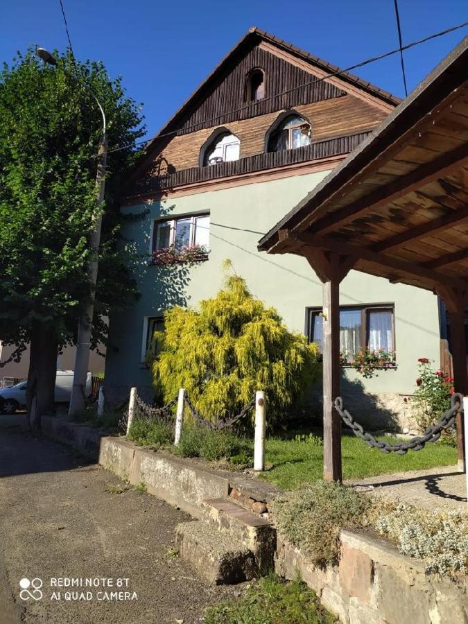 Penzion U Lipy Decin Extérieur photo