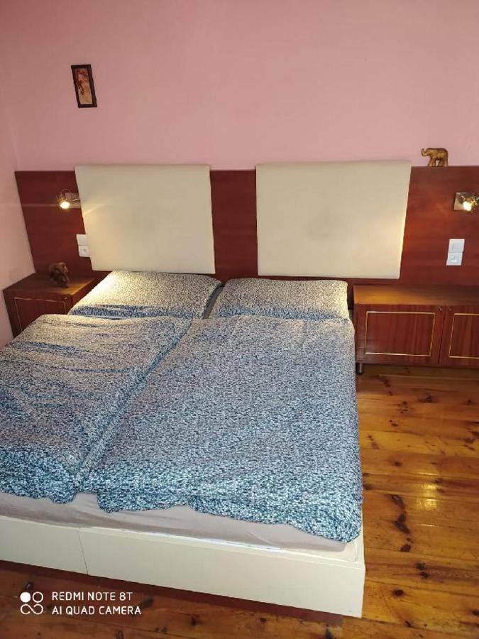 Penzion U Lipy Decin Extérieur photo