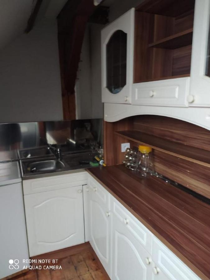 Penzion U Lipy Decin Extérieur photo