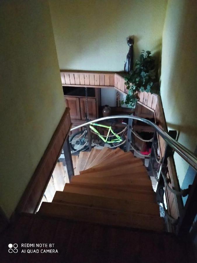 Penzion U Lipy Decin Extérieur photo