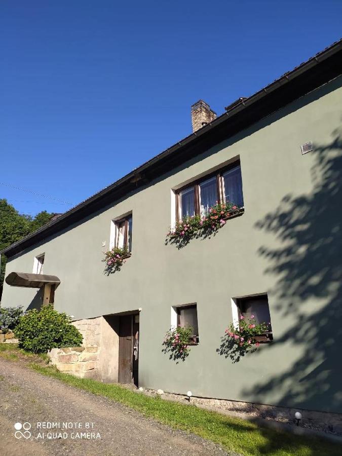 Penzion U Lipy Decin Extérieur photo