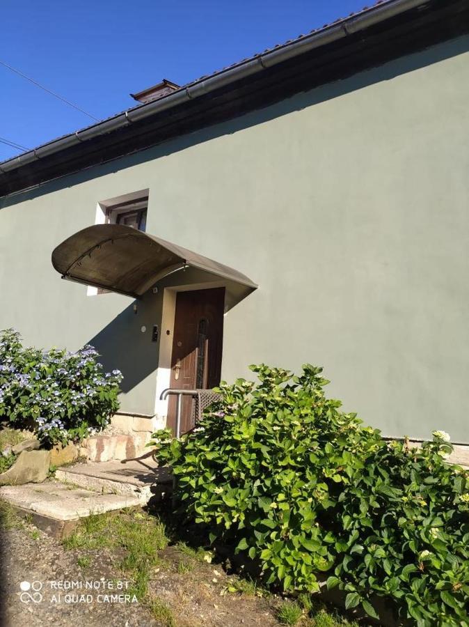 Penzion U Lipy Decin Extérieur photo