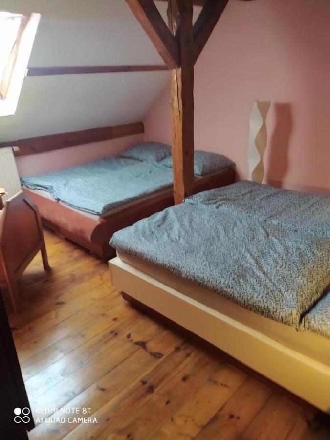 Penzion U Lipy Decin Extérieur photo