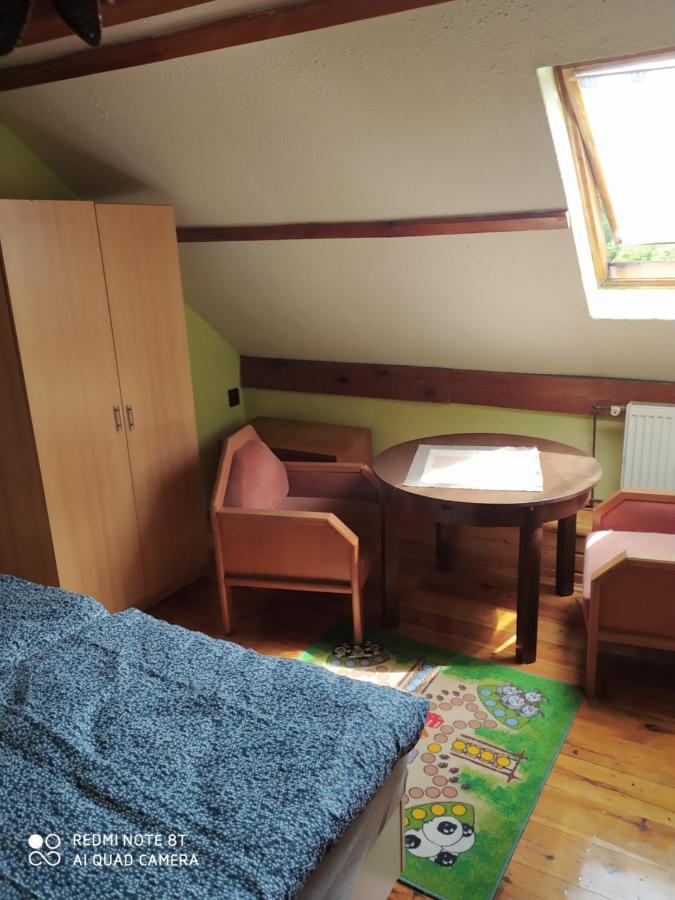 Penzion U Lipy Decin Extérieur photo