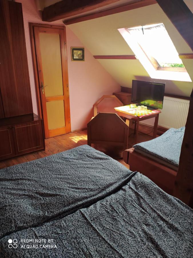 Penzion U Lipy Decin Extérieur photo